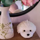 Dog Head Candle Soy Wax Dog Head Candle Soy Wax